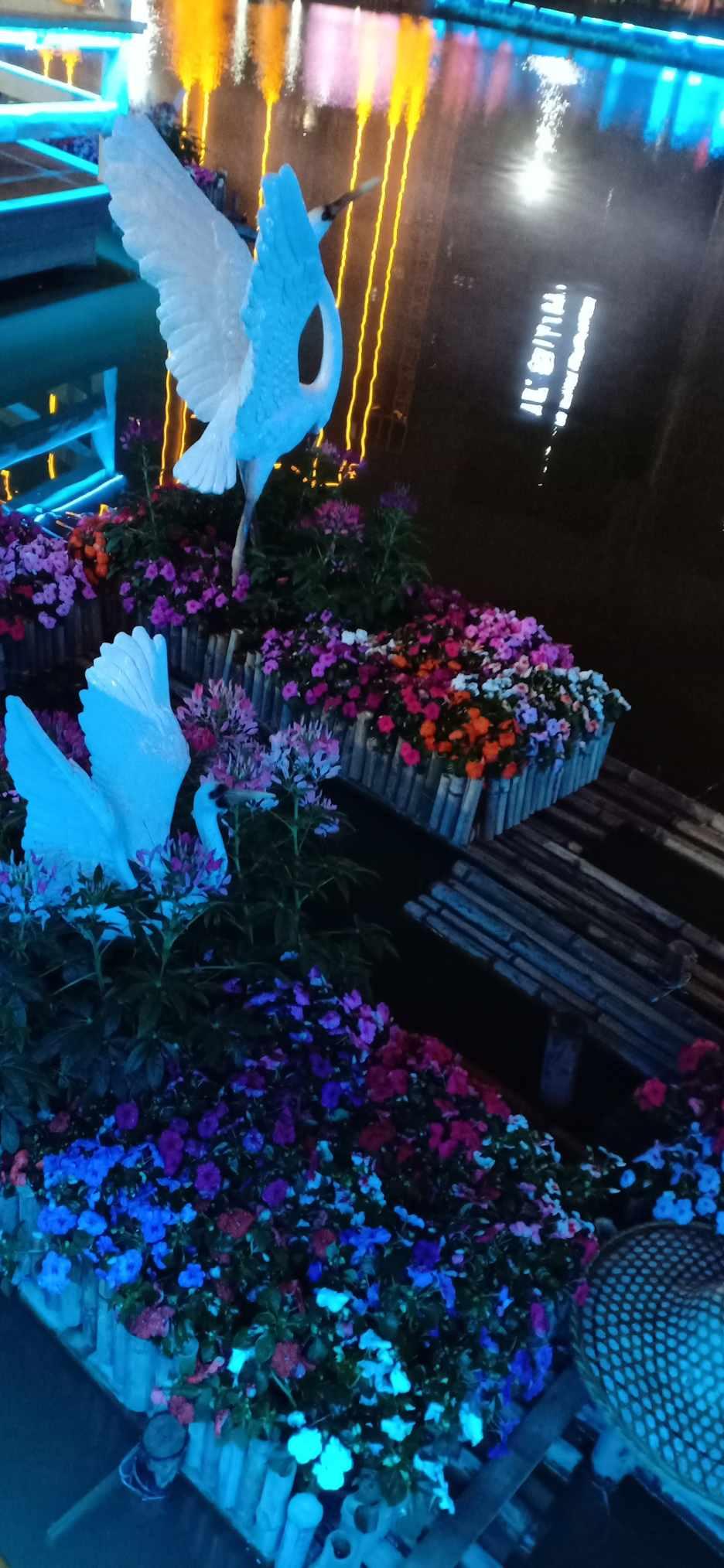 萌兔兔闯关
